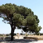 Torre Del Mare