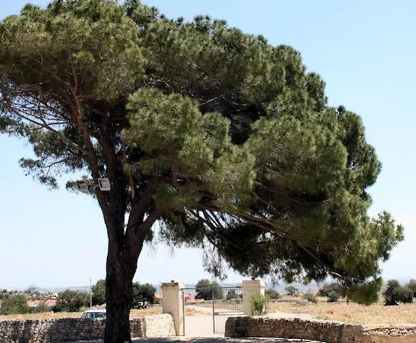Torre Del Mare