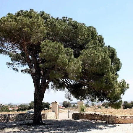 Torre Del Mare